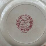 Antique Staffordshire plate, England