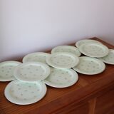 11 mint salt dessert plates