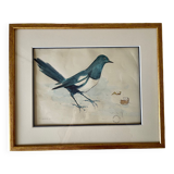 Watercolor by Ventrillon The Younger