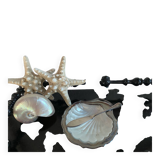 Shell butter dish and its silver-plated knife