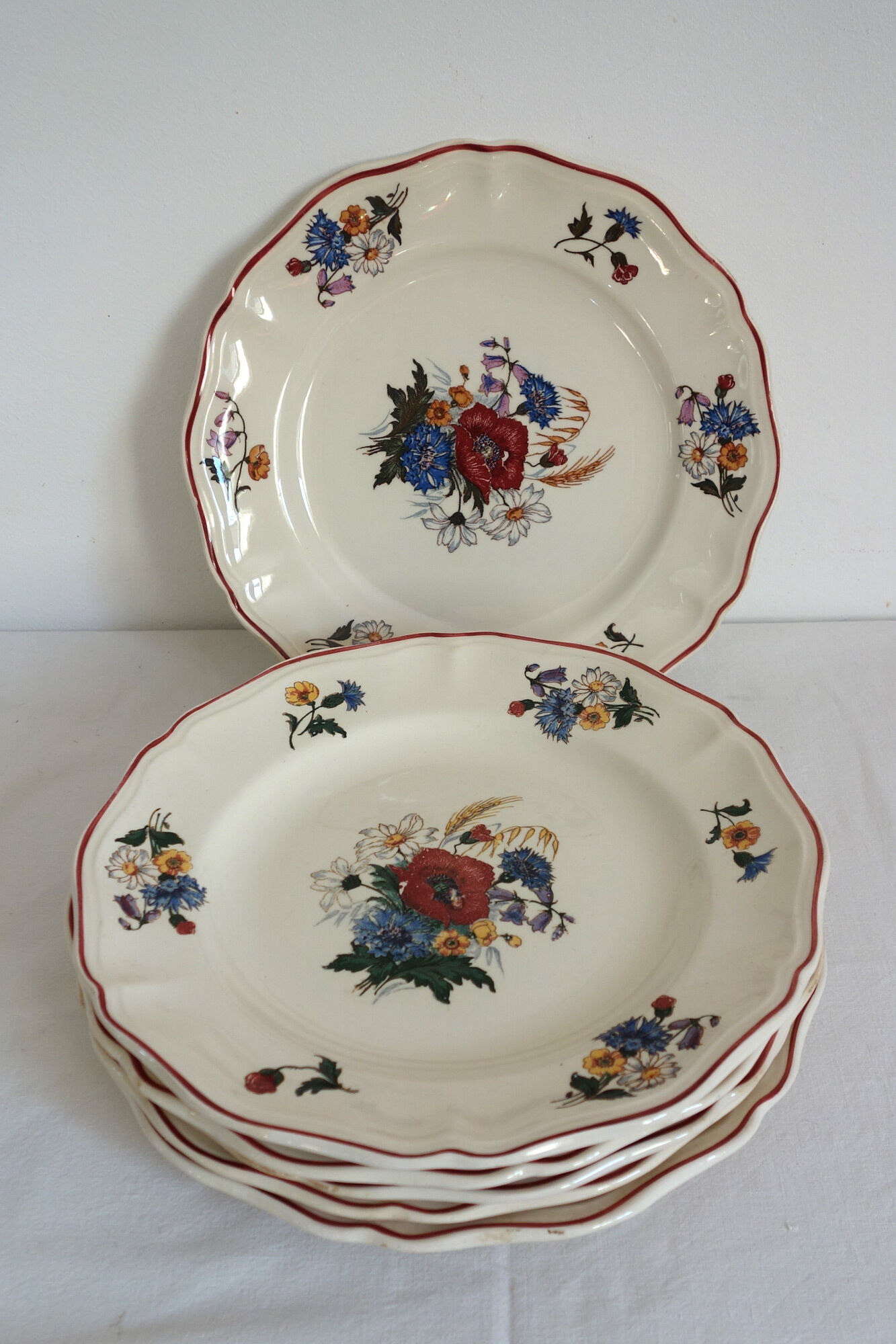 Set of 6 flat plates in earthenware Sarreguemines Model "Agreste" vintage