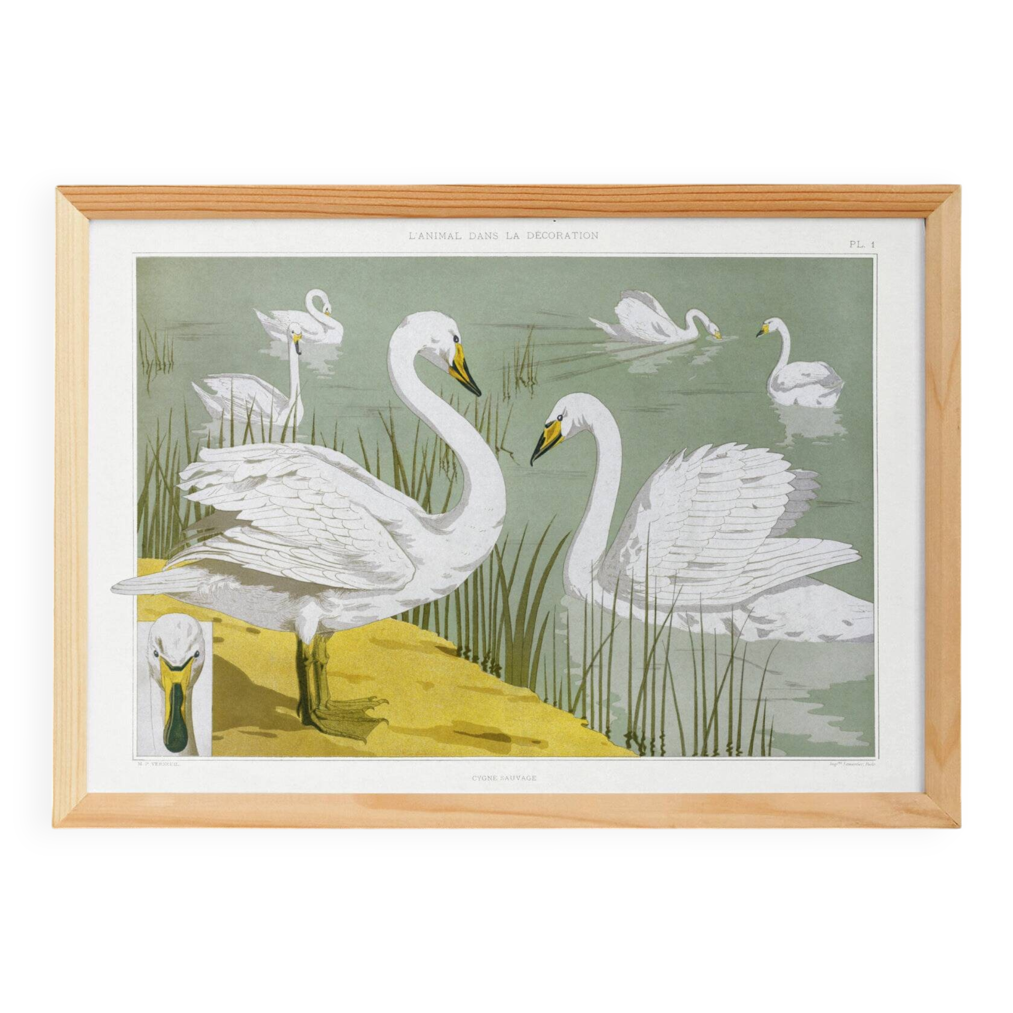 Poster “Wild Swan”, after an Art Nouveau lithograph from 1897