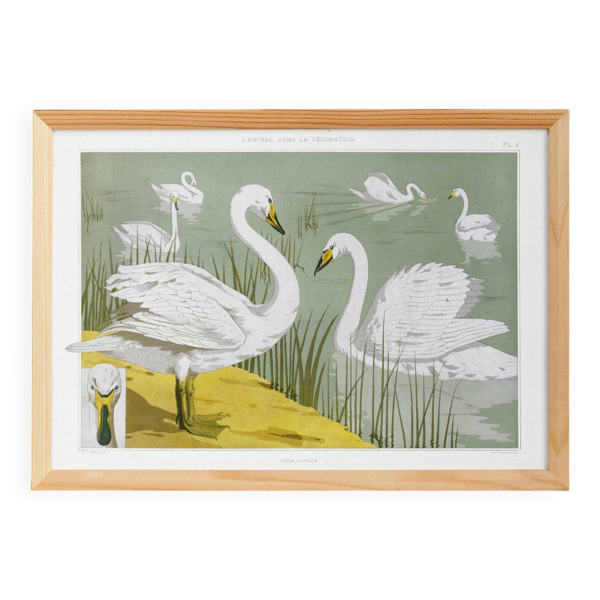 Affiche “Cygne sauvage”, d’après une lithographie art nouveau de 1897