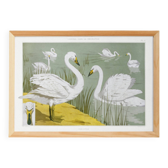 Poster “Wild Swan”, after an Art Nouveau lithograph from 1897