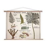 Rossignol botanical poster
