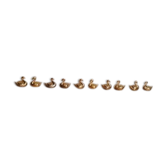 Duck places brands