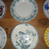 Set of 12 different flat plates