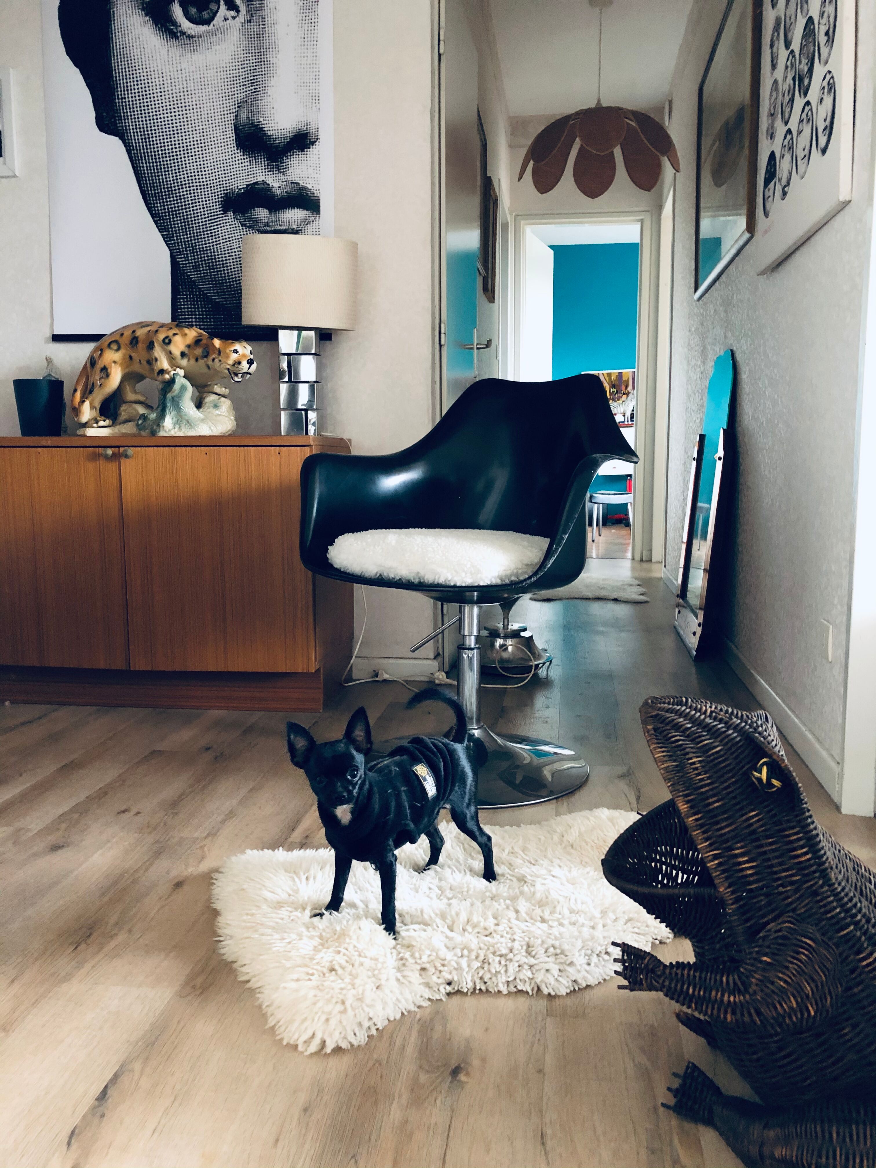 Vintage chair foot tulip