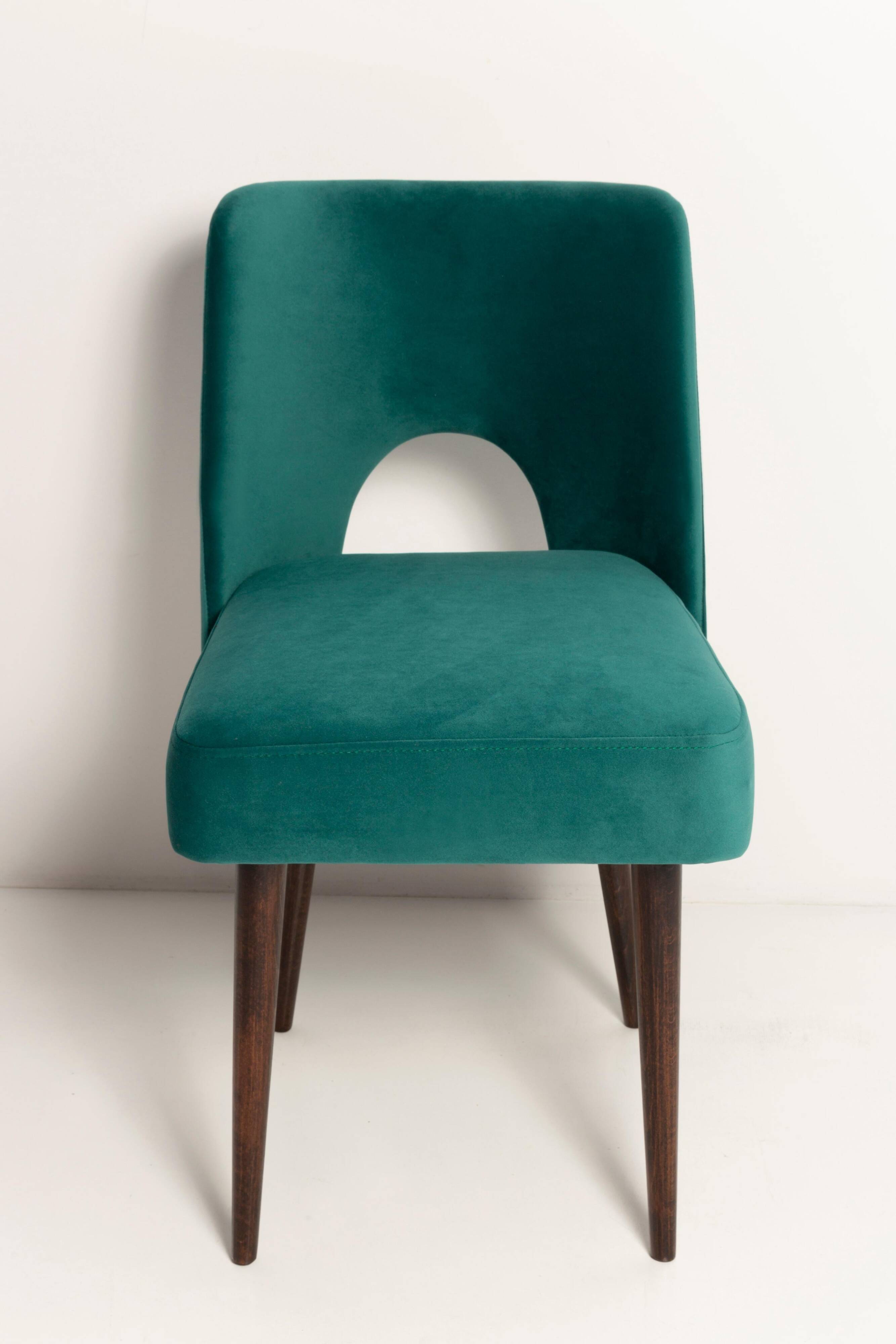 Chaise « shell » en velours crème et bois, Pologne, 1960s