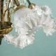 Italian murano glass chandelier