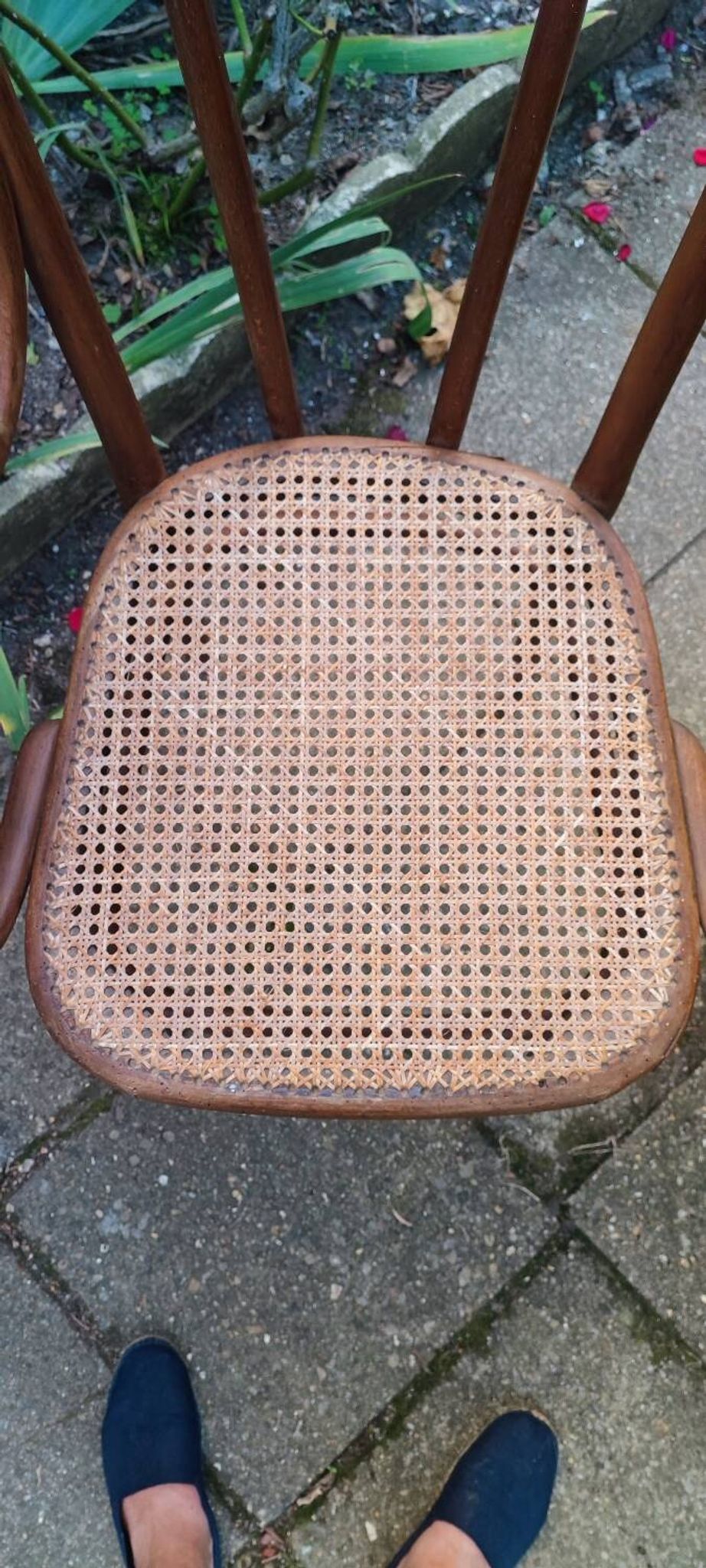 Thonet armchair no. 56