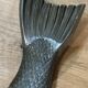 Plat poisson vintage bois et Métal– plateau de service saumon/truite –