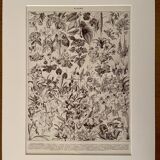 Lithograph on flowers (trees and shrubs) - 1930