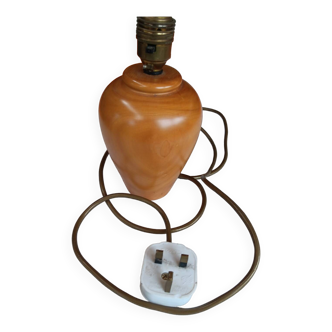 Antique English Squire Lighting Lamp