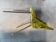 Paire de chaises pelfran vintage 1960