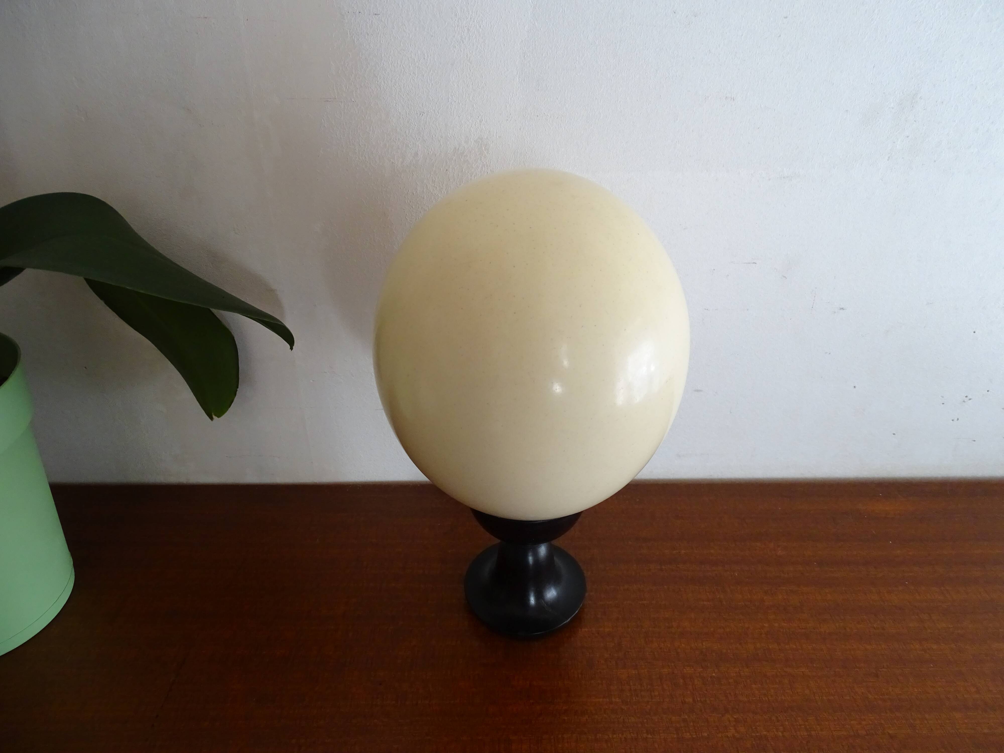 Ostrich egg on blackened wooden base - object of curiosity