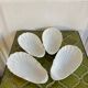 Antique porcelain cups scallops