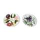 Assiettes Barbotine