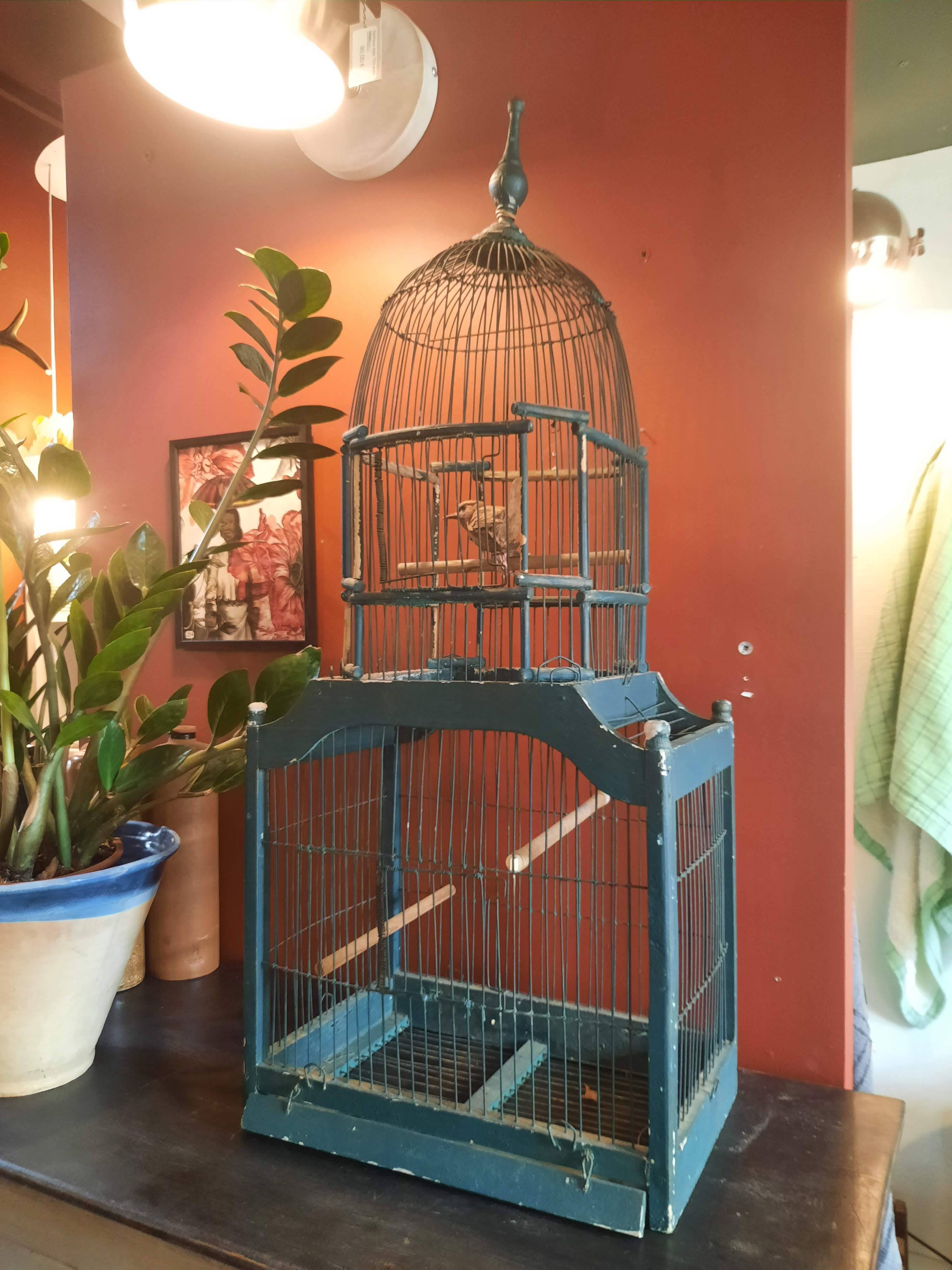 Victorian bird cage