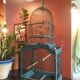 Victorian bird cage