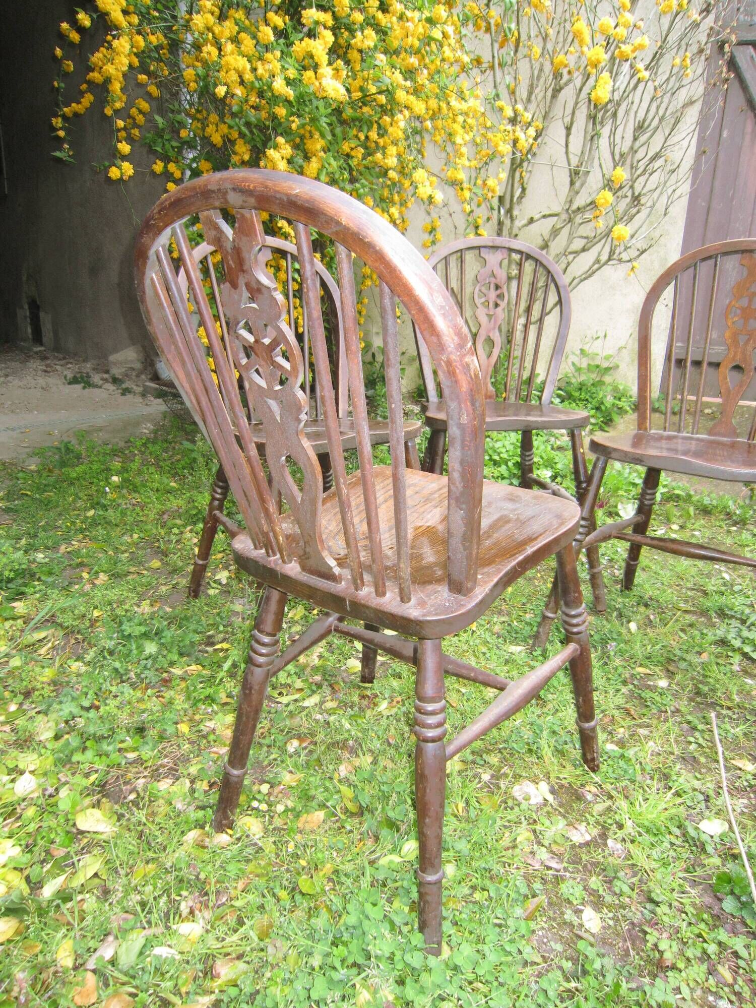 Suite of 4 chairs windsor english bistro