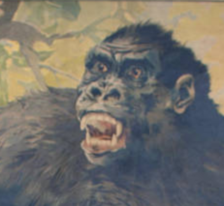 Poster "Gorilla" educational grid 1891