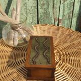 Vintage wooden and metal box