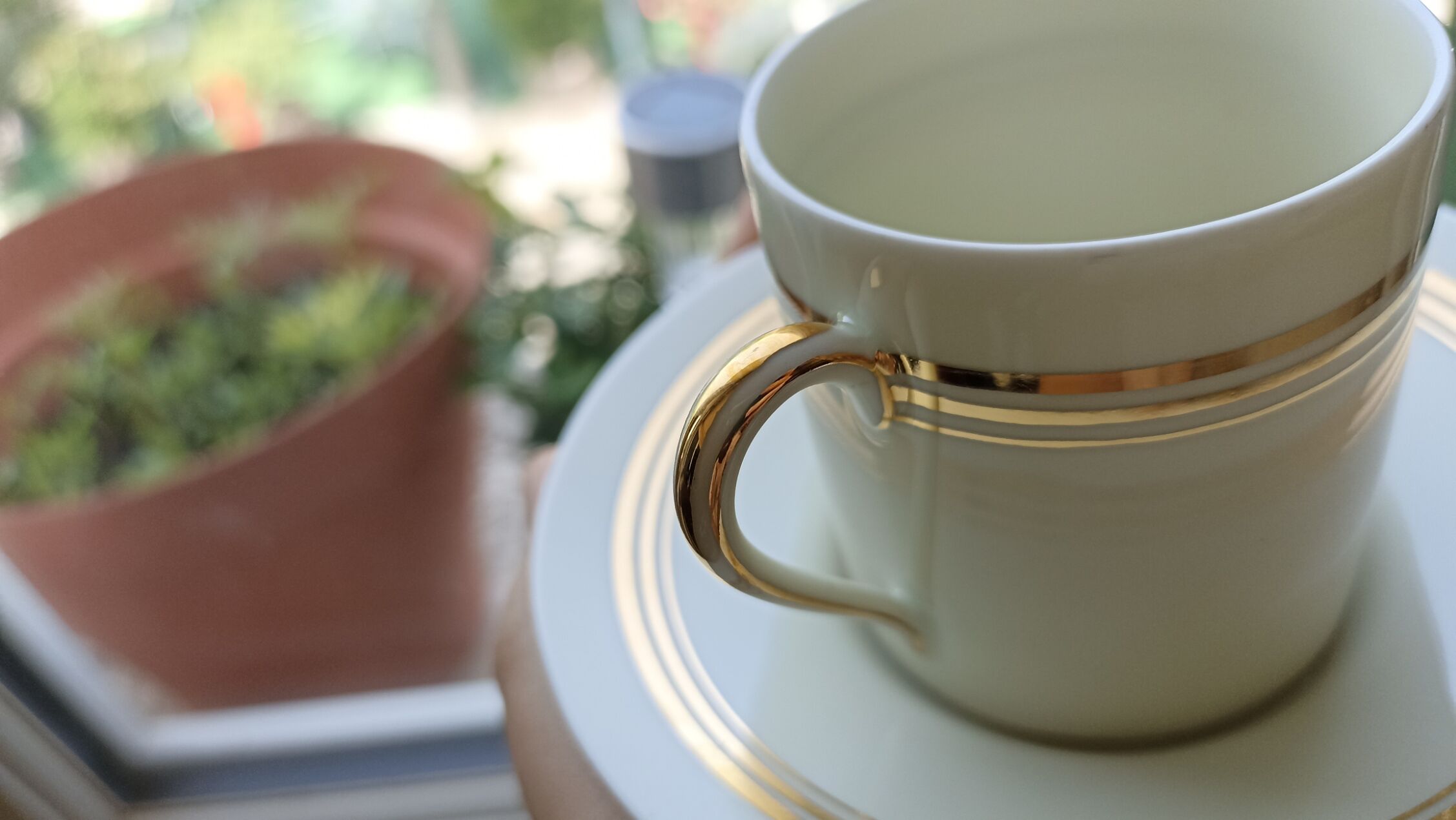 Limoges porcelain espresso cup - Raynaud