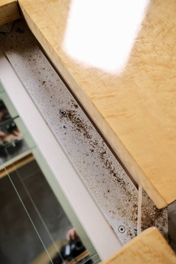 Table basse bar en loupe de frêne, Paul Michel pour Roche Bobois, 1980s