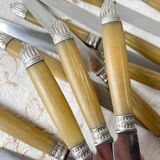 12 vintage Pradel stainless steel bakelite knives