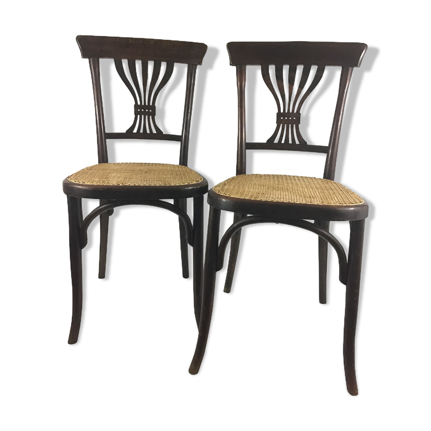 Paire de chaises Fischel N°135