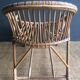 Adult rattan shell armchair