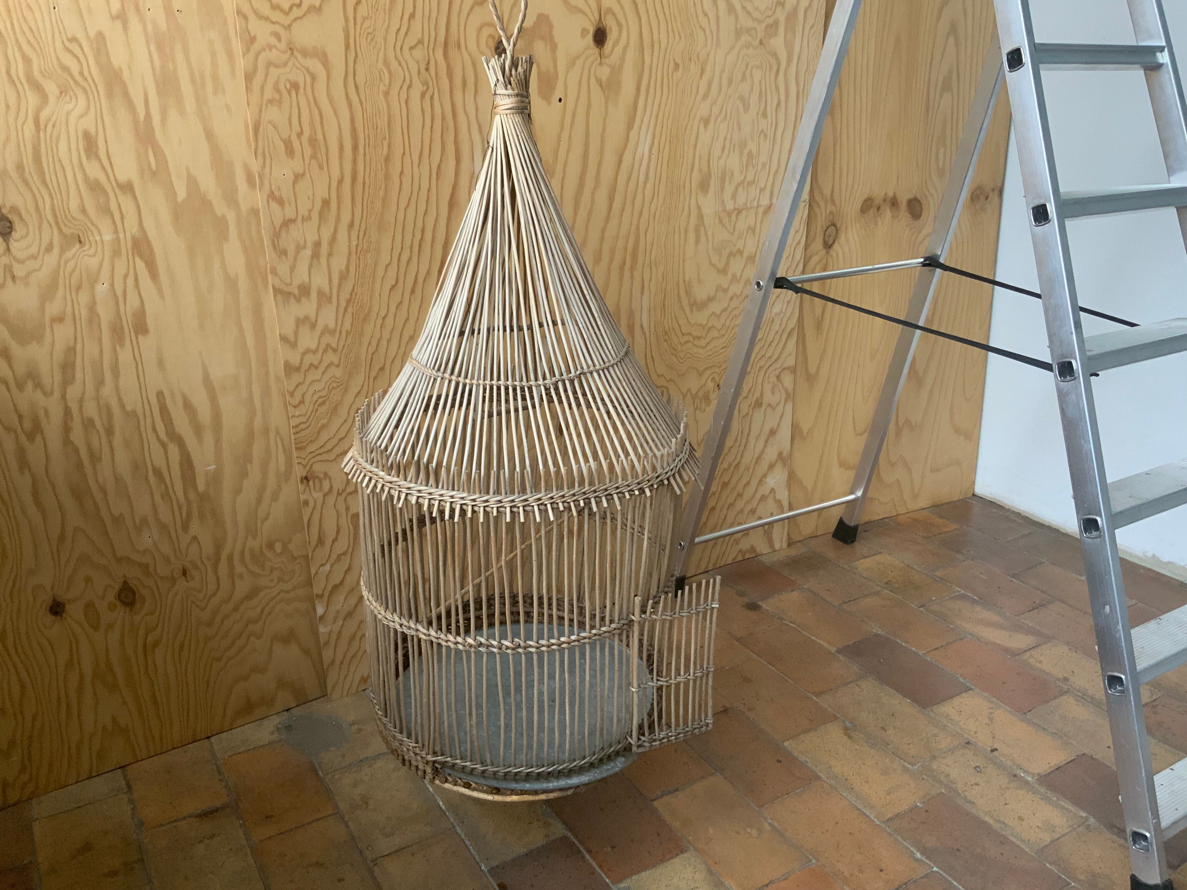 Bird cage
