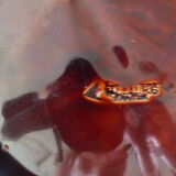 Vallauris fruit cup