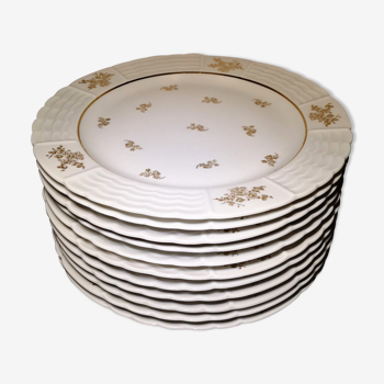 Lot 11 plates flat porcelain art of Limoges