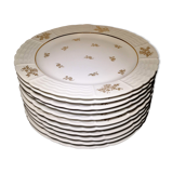 Lot 11 plates flat porcelain art of Limoges