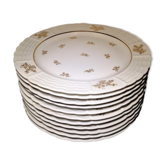 Lot 11 plates flat porcelain art of Limoges