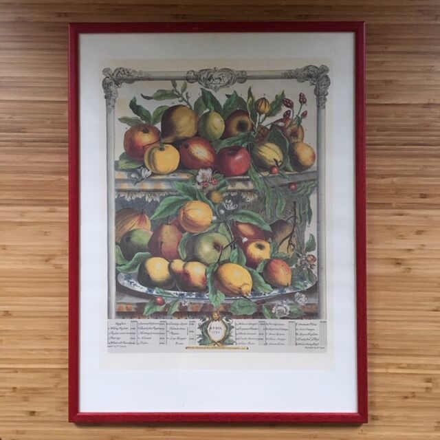 Ancient English botanical board of April 1732