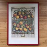 Ancient English botanical board of April 1732