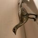 Brass pheasant