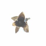 Candle holder walnut leaves with its gilded bronze walnut