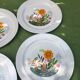 Lot de 6 assiettes plates en porcelaine Winterling Bavaria