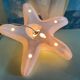 Porcelain wall lamp starfish design