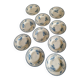 10 assiettes creuses Sarreguemines modèle Royat