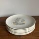 6 dessert plates