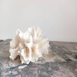 Vintage Jagged Coral