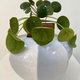 XL octagonal ceramic vase