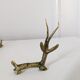 6 portes couteaux antilopes