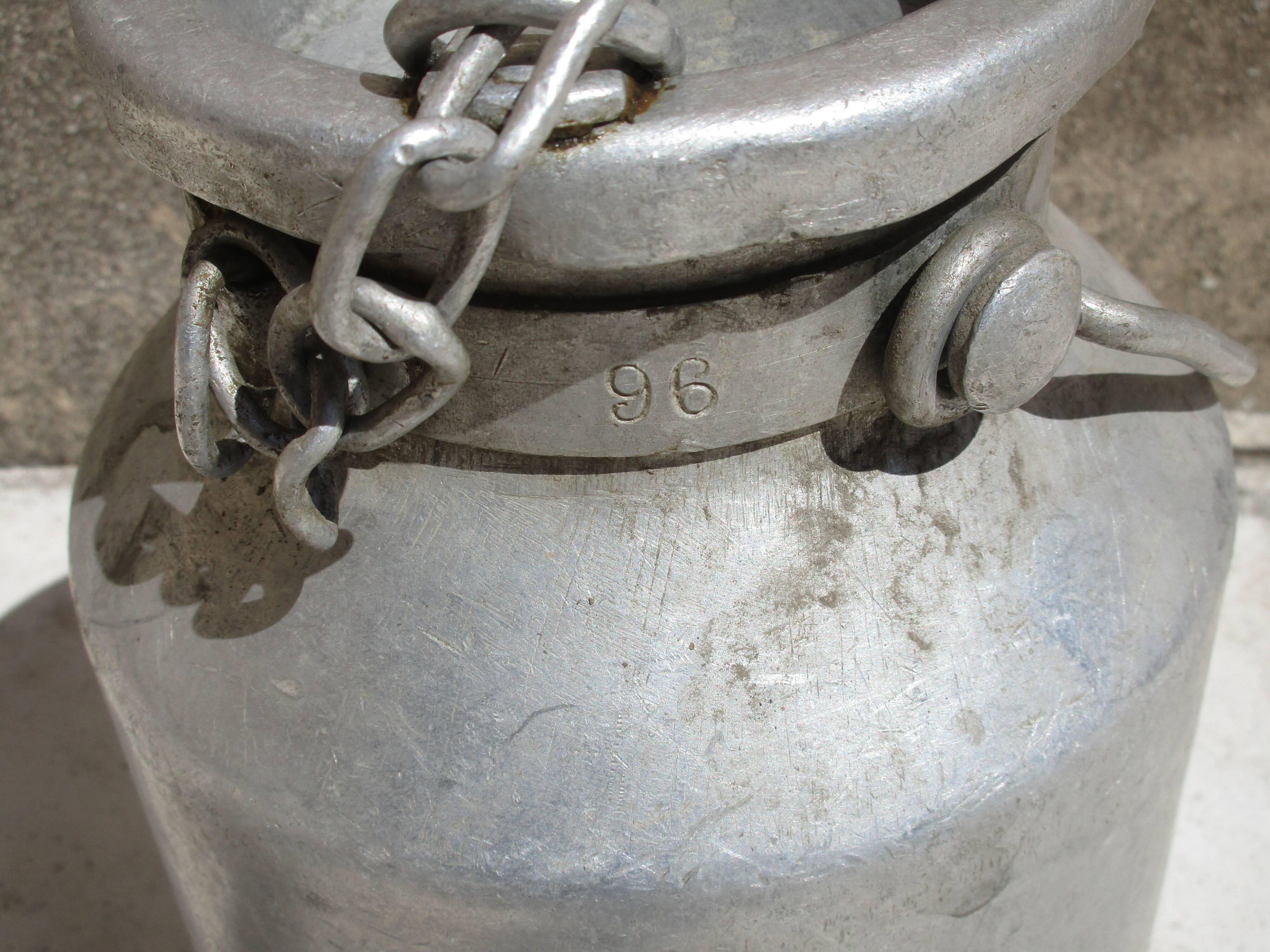 Pot a milk model while alu