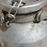 Pot a milk model while alu
